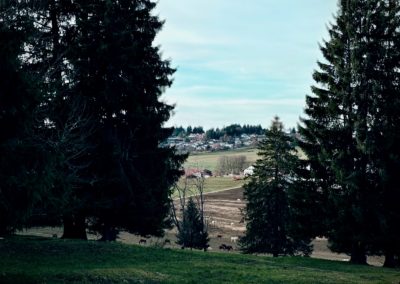 LES ETOILES DE MONTFAUCON